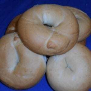 Plain Bagel